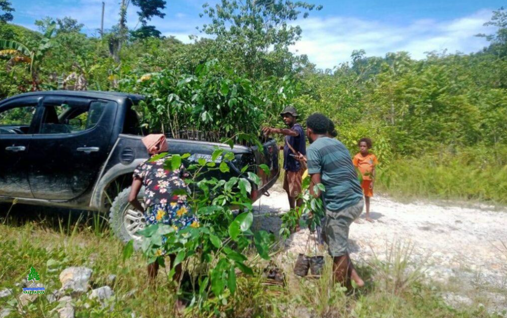 Masyarakat Mairasi di Kampung Kensi Menanam 400 Bibit Pohon Merbau